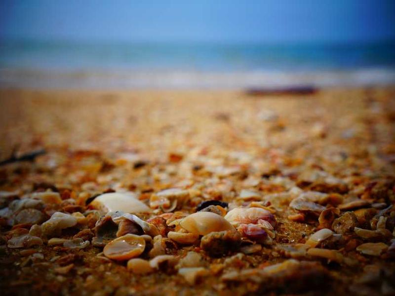 A diverse group of people collaborating and learning from their mistakes in a dynamic, bright office or study environment. They are smiling and actively engaged, symbolizing collective growth and positive outlook on challenges.