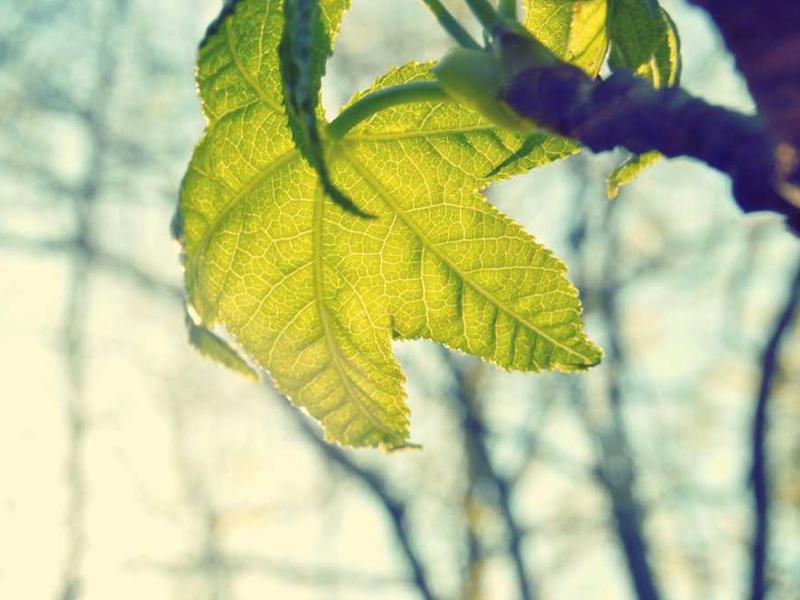 A person looking confidently at a bright horizon,